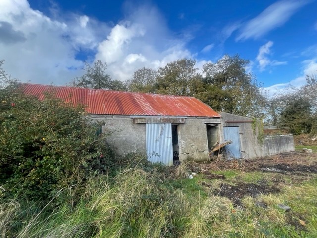 Carrownure, Lecarrow, Co. Roscommon