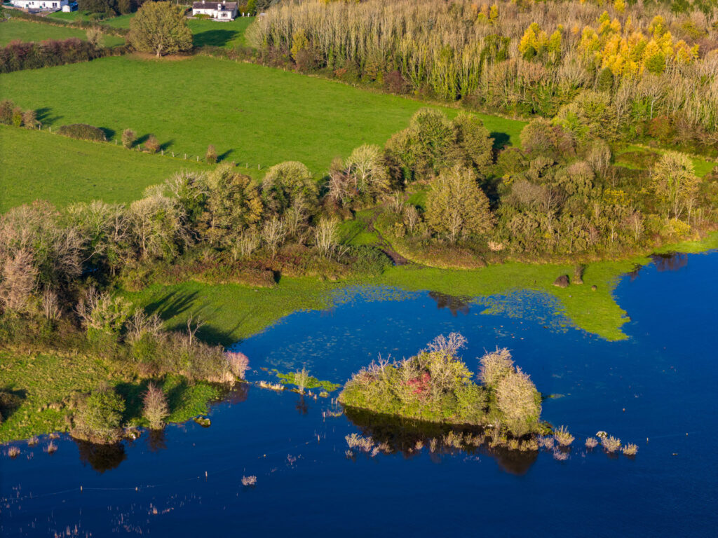 Carrownure, Lecarrow, Co. Roscommon