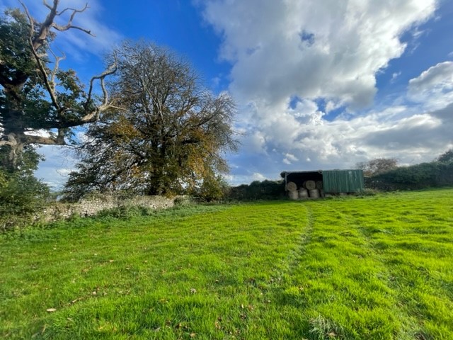 Carrownure, Lecarrow, Co. Roscommon